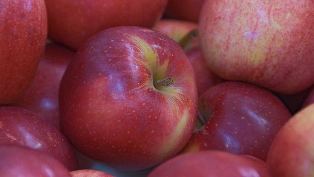 Schweizer Bioäpfel. Symbolbild: lid.ch.