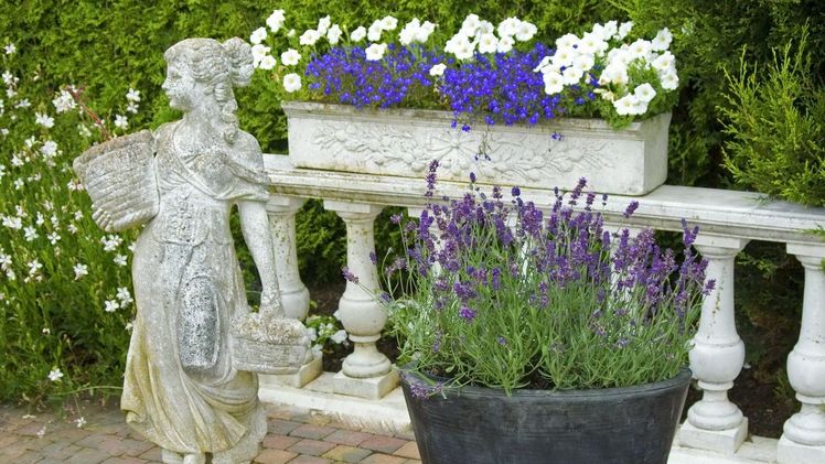 Mit Lavendel in Kübeln holt man sich das Urlaubsfeeling auf die Terrasse. Bild: Helix Pflanzen.