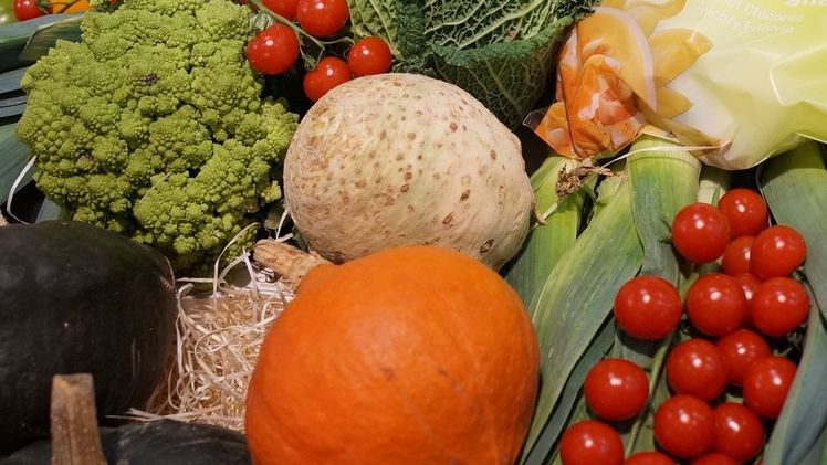 Die spezifische Unterstützungsregelung für Erzeugerorganisationen hat sich bislang als großer Erfolg erwiesen. Bild: GABOT.