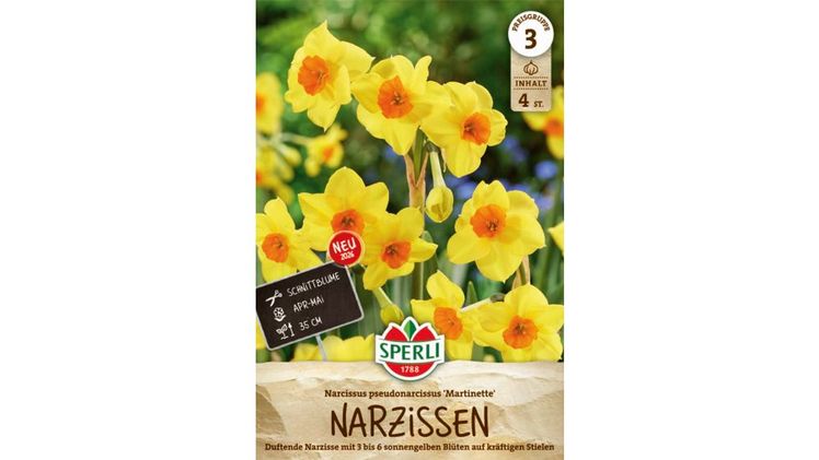 Die Poetaz-Narzisse 'Martinette'. Bild: © SPERLI GmbH / www.sperli.de. 