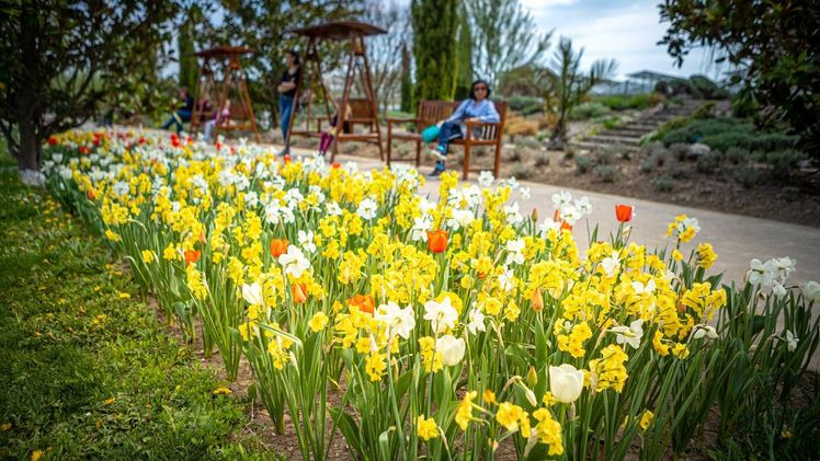 Saisonstart in den Blumengärten Hirschstetten – eine Gartenanlage der Vielfalt. Bild: Wiener Stadtgärten/Houdek. 