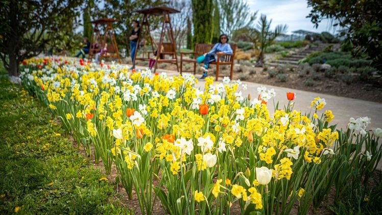 Saisonstart in den Blumengärten Hirschstetten – eine Gartenanlage der Vielfalt. Bild: Wiener Stadtgärten/Houdek.