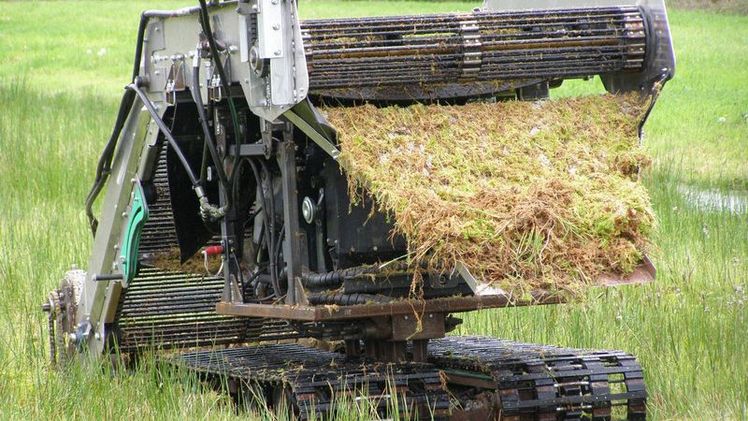 Stabförderband und Erntegutrutsche auf der Raupe. Foto: mera Rabeler/C. Wentzien. Stabförderband und Erntegutrutsche auf der Raupe. Foto: mera Rabeler/C. Wentzien.