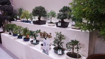 Impressionen von der Flormart GREEN ITALY 2024. Bild: GABOT.