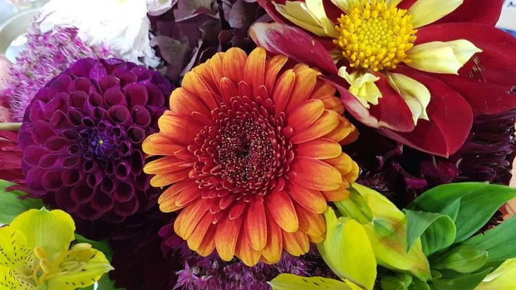 Flower Penny ist ein ChatGPT-basierter Kalkulationsassistent für florale Werkstücke. Bild: GABOT.