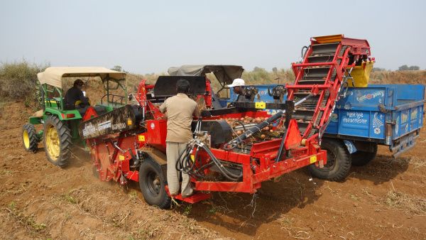 ShaktimanGRIMME Harveste. Bild: ©GRIMME.