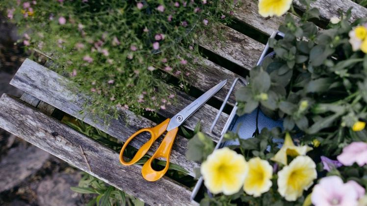 Fiskars verpasst seiner legendären Classic-Schere ein Upgrade: mit verbessertem Komfort und bewährtem Design. Bild: © Fiskars.