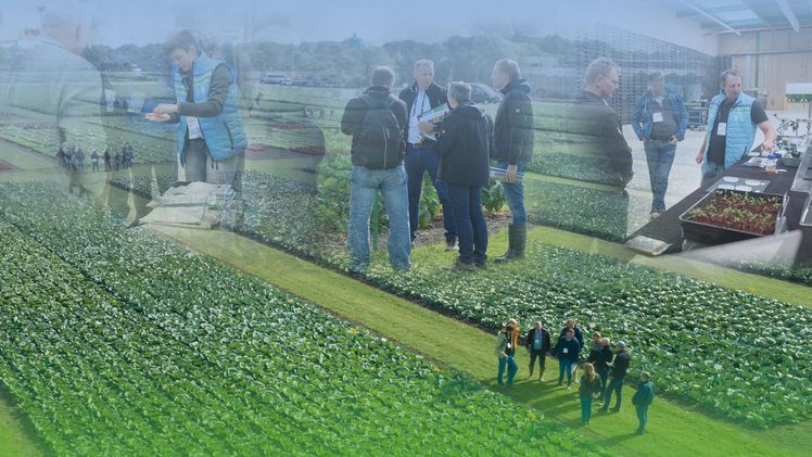 Bejo Open Days für Produzenten und Kettenpartner. Bild: Bejo.