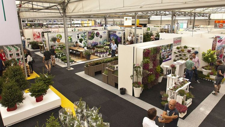 Plantarium 2017: Nimmt Gestalt an.