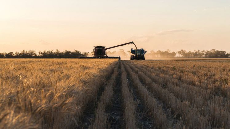 Das Herbizid Tirexor ist so flexibel, dass es in einer Vielzahl von Kulturpflanzen eingesetzt werden kann. Bild: BASF.
