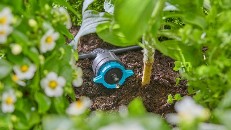Sparsame Tropfbeäwsserung mit dem GARDENA Micro-Drip-System. Bild: GARDENA.