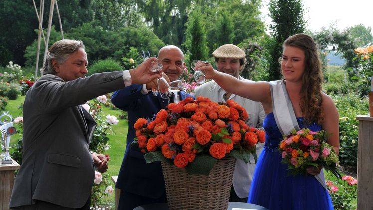 Topfrosenshow 2017 in De Rozenhof Lottum.