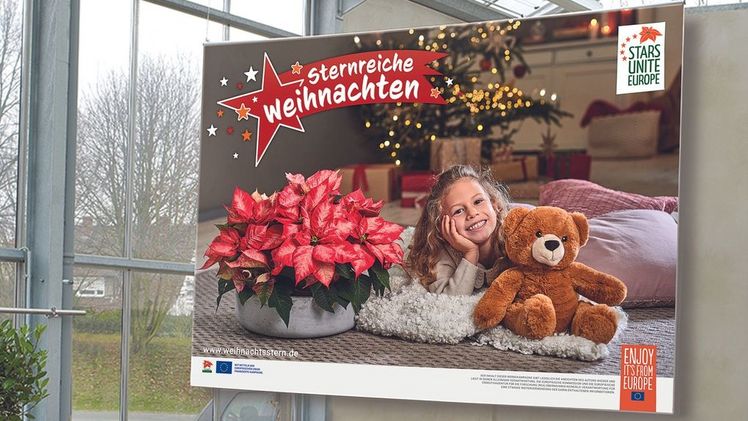 EU-Kampagne "Sterne verbinden Europa". Bild: Stars for Europe (SfE).