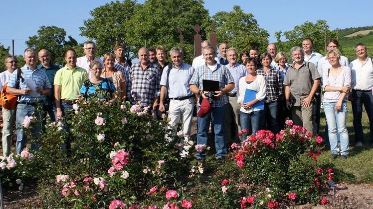 Rosenprüfung an der Bayerischen Landesanstalt für Weinbau und Gartenbau (LWG). Bild: Klaus Körber, © LWG Veitshöchheim.