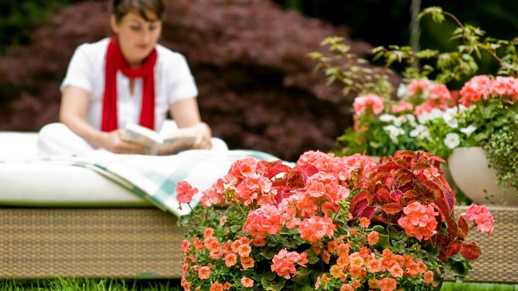 Üppige Bepflanzung in warmen Rottönen: Die Kombination von Dauerblühern wie Pelargonien und Zauberglöckchen mit Blattschmuckpflanzen sorgt für Leuchtkraft bis in den Herbst. Farbberatung gibt es im gärtnerischen Fachhandel. Bild: GMH/BVE.