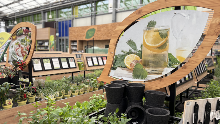 Pflanzen-Kölle präsentiert einen umfassenden Markenrelaunch und rückt Natur, Qualität und Erlebnis noch stärker in den Mittelpunkt. Bild: Pflanzen-Kölle.