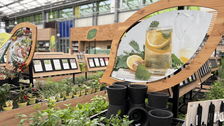 Pflanzen-Kölle präsentiert einen umfassenden Markenrelaunch und rückt Natur, Qualität und Erlebnis noch stärker in den Mittelpunkt. Bild: Pflanzen-Kölle.