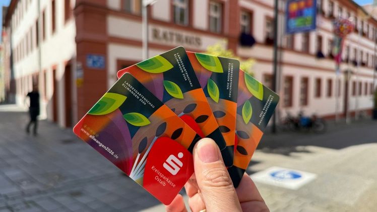 Die Dauerkarten sind am Sonntag, 7. September, ausschließlich im Rathaus zu bekommen. Erst einen Tag später startet der Verkauf in der Tourist-Information Ellwangen. Bild: LGS Ellwangen.