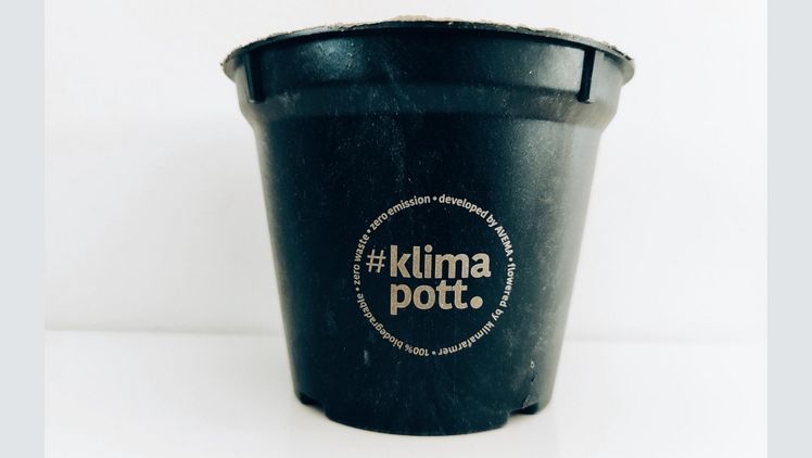Der klimapott kann nach der Nutzung samt Pflanze direkt in die Erde eingebracht werden - ganz ohne Mikroplastik und ohne zusätzlichen Entsorgungsaufwand. Foto: klimafarmer. 