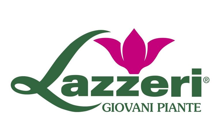 Zwei wichtige Weihnachtsstern-Veranstaltungen in dieser Saison bei Lazzeri.