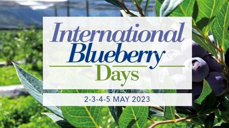 Die International Blueberry Days finden vom 3.-5. Mai in Rimini statt.  Die International Blueberry Days finden vom 3.-5. Mai in Rimini statt.