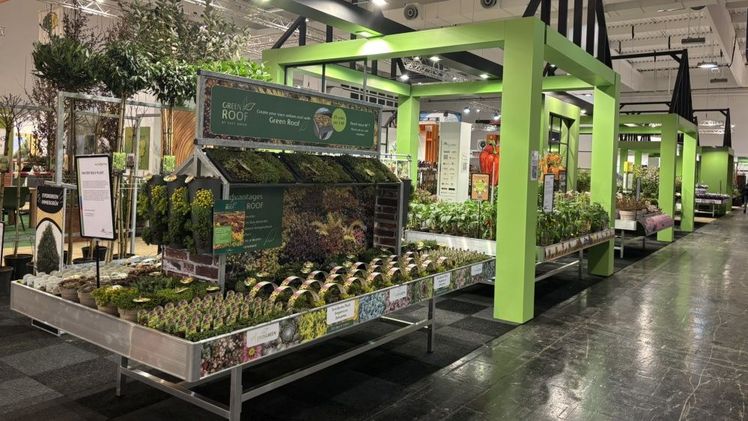 Show Your Colours Garden Centre IPM 2025. Bild: BIZZ Holland.