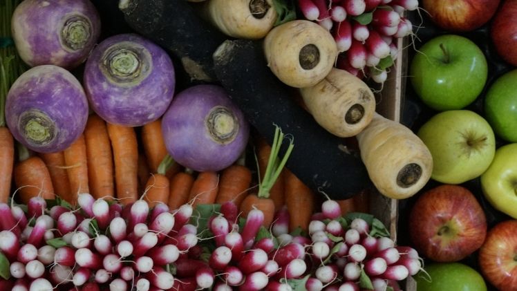 2019 war erneut ein schwieriges Jahr für den deutschen Obst- und Gemüsebau. Bild: GABOT.