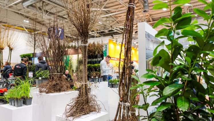 Neue „Gehölze-Arena“ zeigt Lösungen für den Klimawandel. Bild: © Armin Huber/MESSE ESSEN.