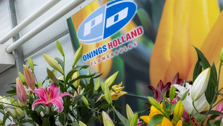 90 Jahre Onings Holland. Bild: © rolfvankoppenfotografie.