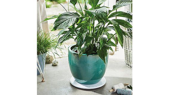 Ultraflach & unsichtbar mobil. Bild: Wagner System GmbH.