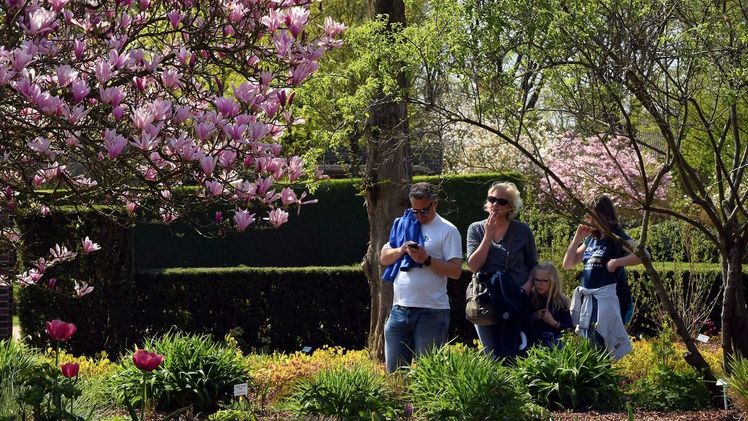 Viertägige Sonderöffnung „Frühlingsboten im Park" am Osterwochenende. Bild: Hans-Jürgen Zietz.