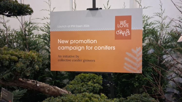 Präsentation von  "We Love Conifers"  auf der IPM ESSEN 2026. Bild: GABOT.