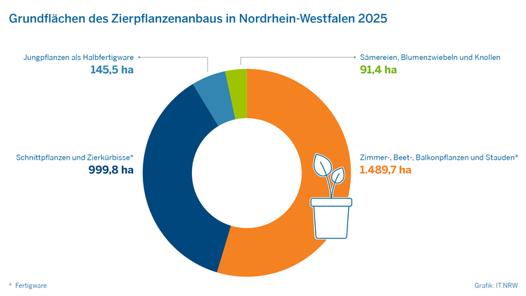 Flächen für den Zierpflanzenanbau sind in Nordrhein-Westfalen im Jahr 2025 um rund 6% kleiner als vier Jahre zuvor. Grafik: IT.NRW.
