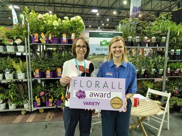 Der Bronze-Award ging an Escallonia Trulli® 'Ilvotrul' von Willy De Nolf. Bild: © Florall.