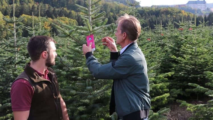 Das Naturbaumsiegel des VNWB setzt ein klares Statement für ein Mehr an Klima-, Natur- und Arbeitsschutz. Foto: VNWB.