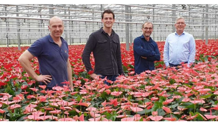 Vlnr. Gerrit Verschoor, Thom Persoon, Henk Post en Remco Hill. Bild: Forever Plants.