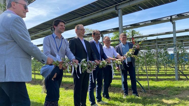 Feierliche Eröffnung der fünften Anlage der "Modellregion Agri-Photovoltaik für Baden-Württemberg" auf dem Obsthof Vollmer in Oberkirch-Nussbach mit Staatssekretär Dr. Andre Baumann (3.v.r.).  Bild: © Fraunhofer ISE.