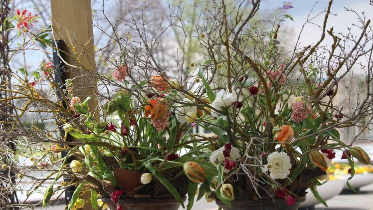 Alle floristischen Meisterwerke interpretierten den Frühling. Bild: DBG.