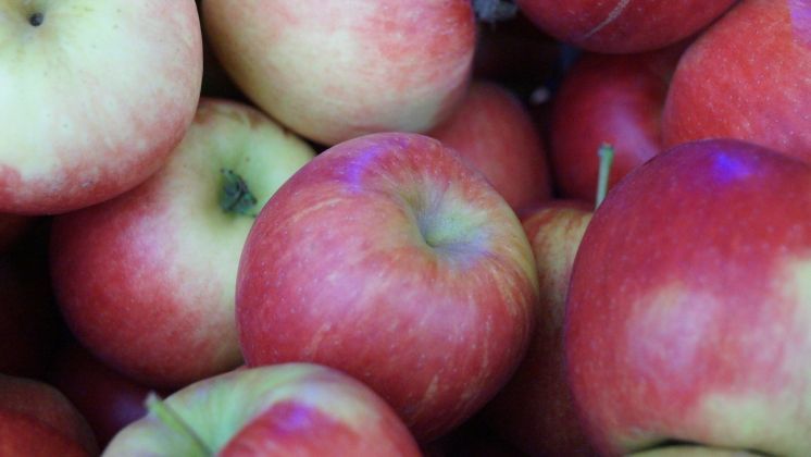 Äpfel bleiben auf dem zweiten Platz. Bild: GABOT.