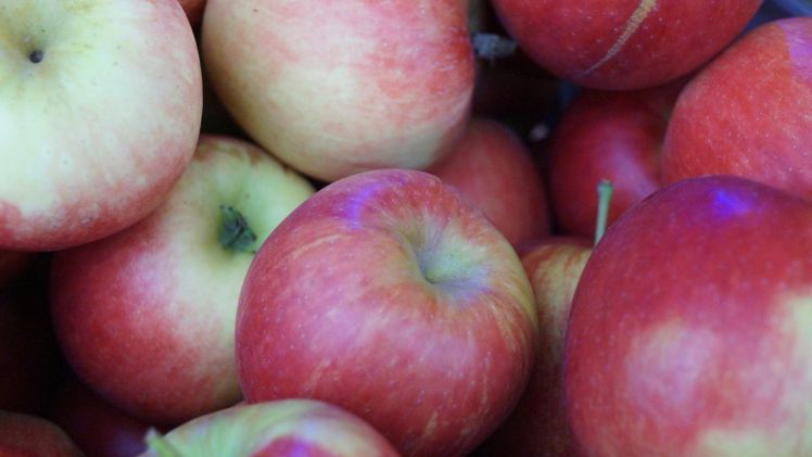 Eröffnung der Bodensee-Apfelsaison. Bild: GABOT.