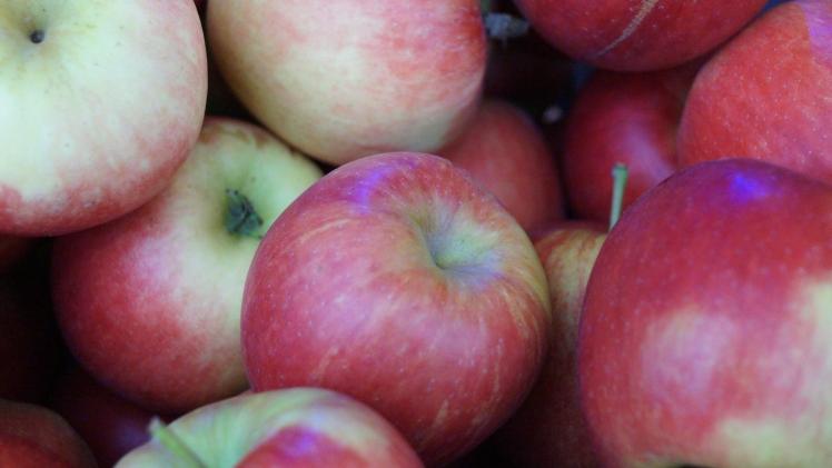 Die Erntemenge 2019 bei Äpfeln lag bei 14.275 t. Bild: GABOT.