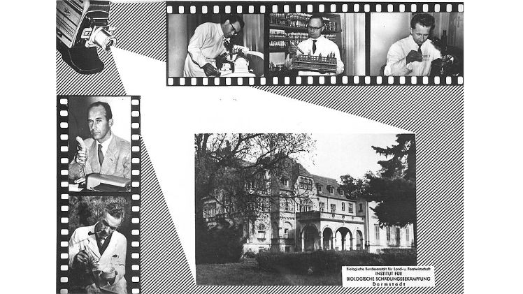 Postkarte mit Bild des 1. Standortes in der Oetinger-Villa (Darmstadt) und den damaligen fünf Wissenschaftlern (Aufnahme nach 1955). Bild: © JKI-Archiv.