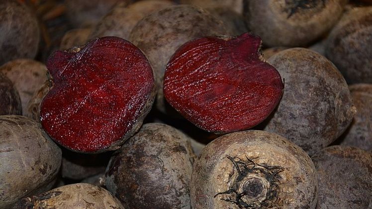 Die Verwendungsmöglichkeiten der roten Rüben sind vielfältig. Bild: Sabine Weis. 