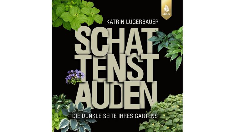 Das Sortiment der Schattenstauden hält vieles bereit: mit Blüten oder ohne, für alle Gartenstile, für alle Formate, auch für die kleinsten Gärten oder Hinterhöfe. Bild: Ulmer.