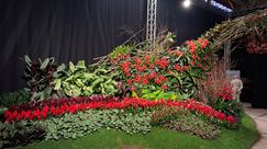 Impressionen von den Genter Floraliën. Bild: GABOT.