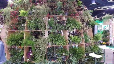 Impressionen vom Salon du Végétal 2024. Bild: GABOT.