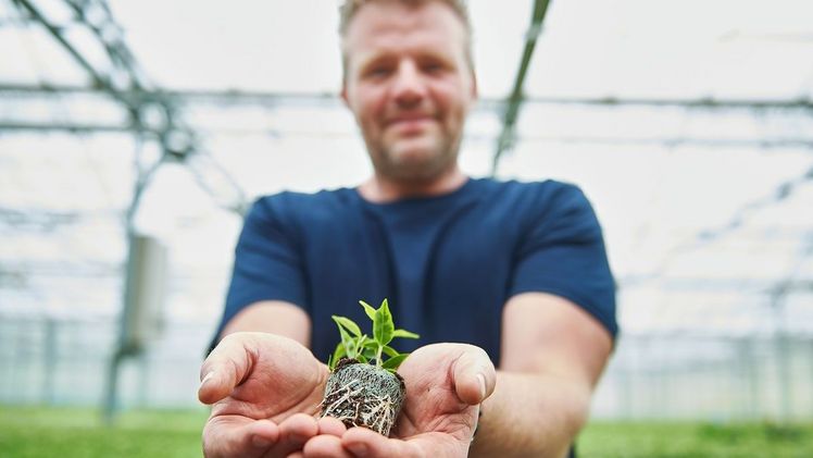 Der Growcoon wird von Maan Biobased Products produziert und international exklusiv von Klasmann-Deilmann vertrieben. Bild: Klasmann-Deilmann.