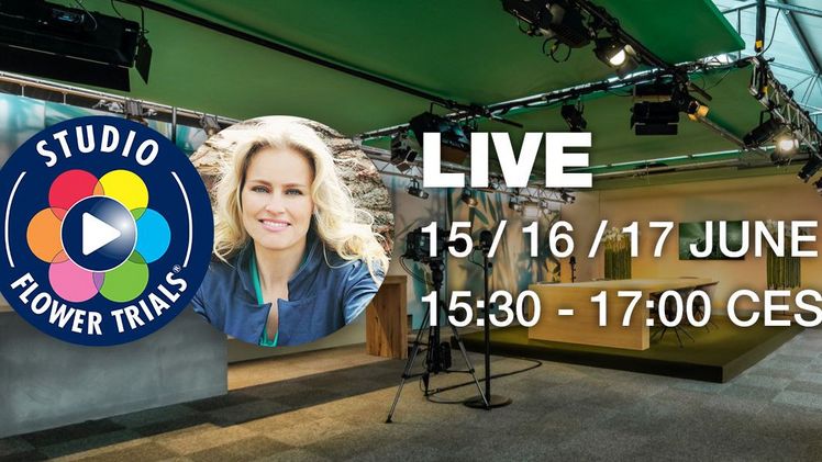 Studio FlowerTrials® wird am 15., 16. und 17. Juni live übertragen, Bild: FlowerTrials®.