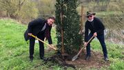 Oberbürgermeister Stadt Jena, Dr. Thomas Nitzsche und Uli Rosenkranz pflanzen die Stechpalme im Landschaftspark Saalebogen. Bild: Stadt Jena.