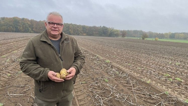 Pflanzenbauexperte Thorsten Riggert. Bild: Landvolk.